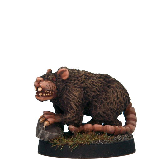 Giant Rat B
