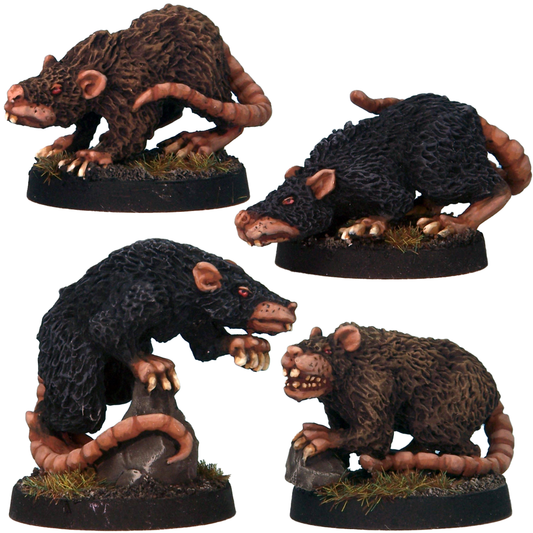 Giant Rats