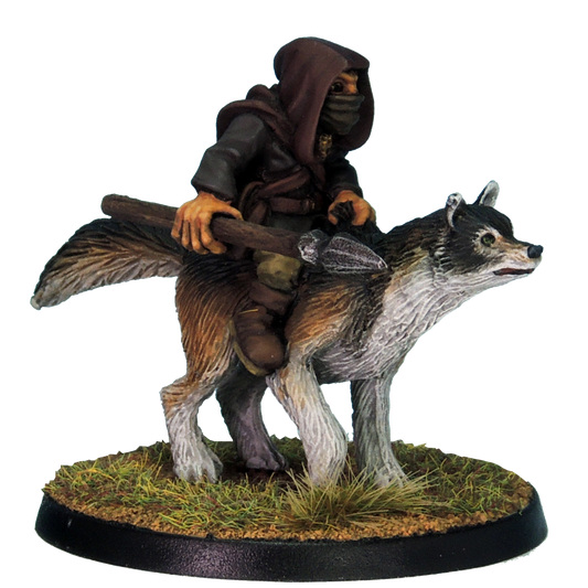 Goblin Wolf Rider H