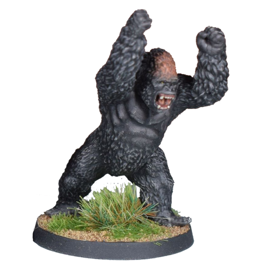 Great Ape C