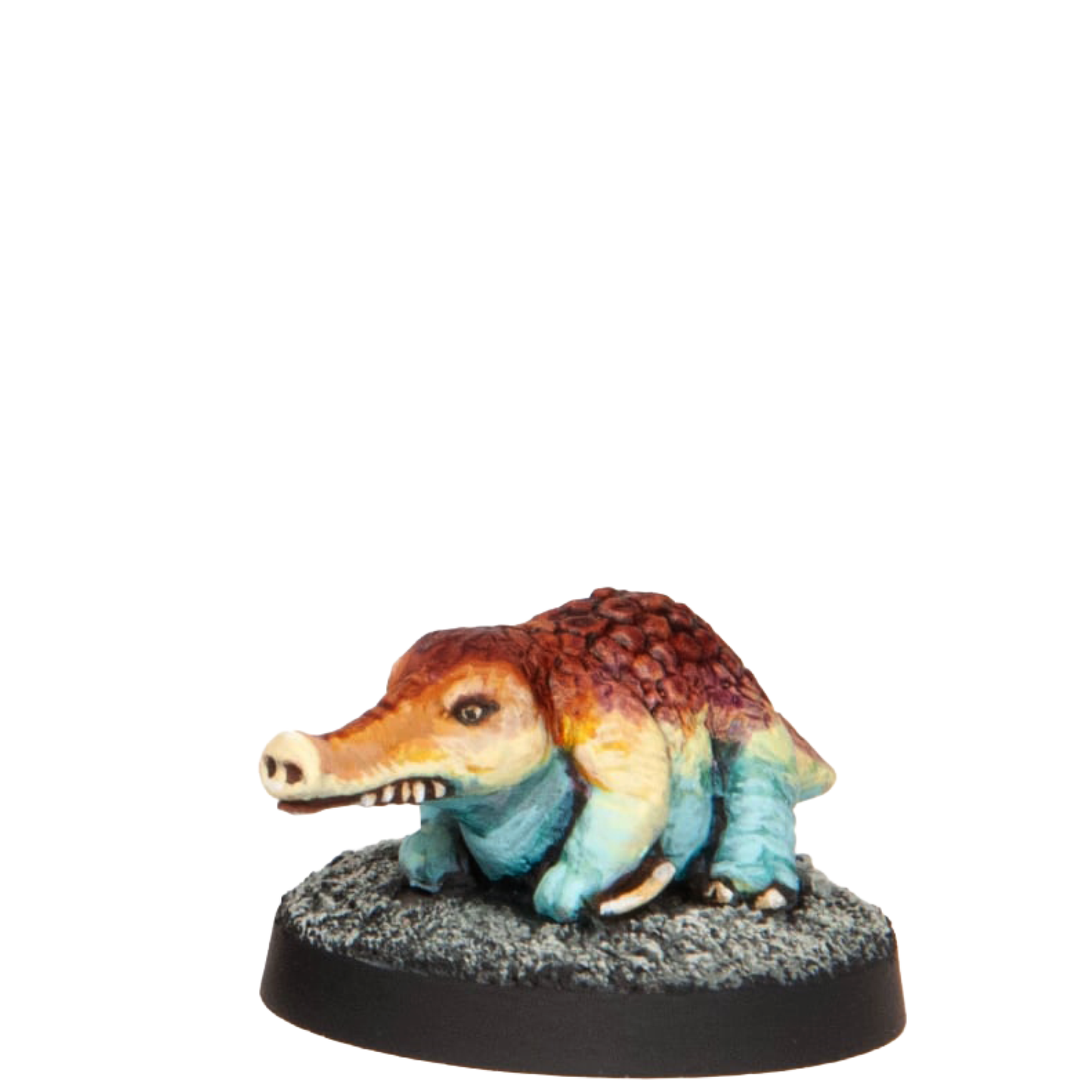 Long Snout