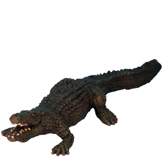 Nile Crocodile