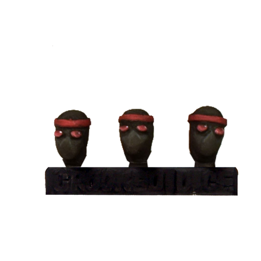 Ninja heads