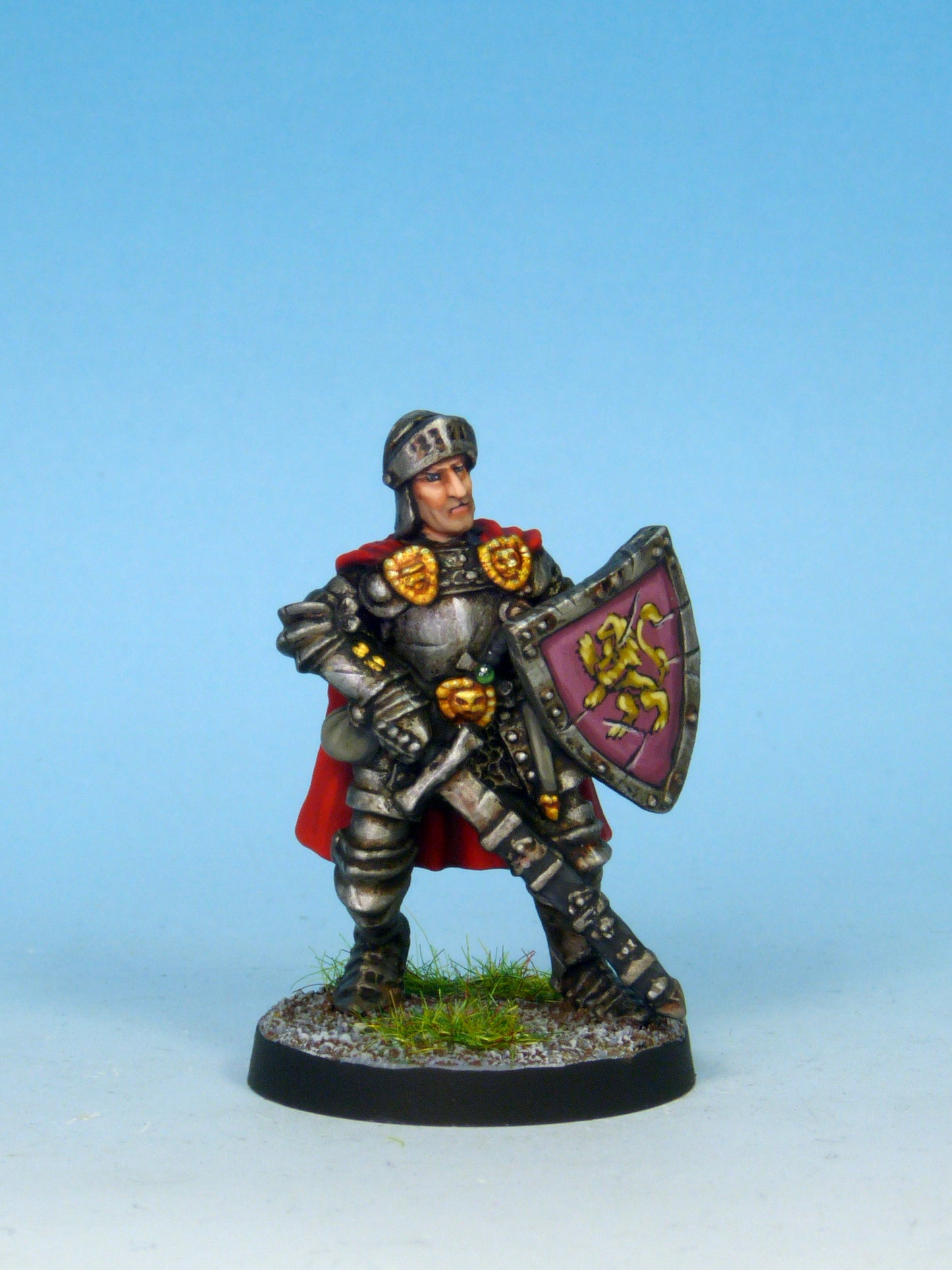 Paladin - Plate & Shield