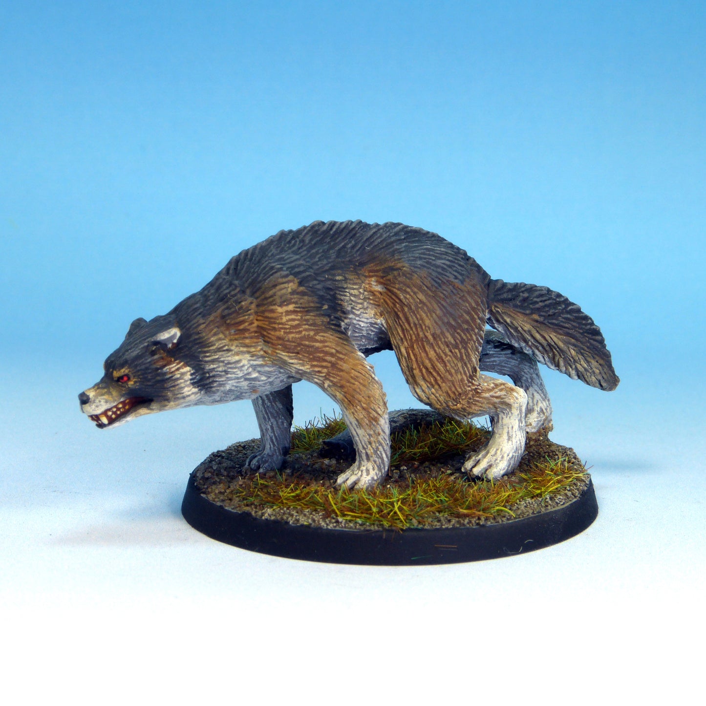 Dire Wolf B