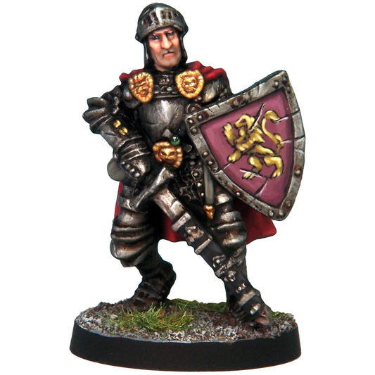 Paladin - Plate & Shield