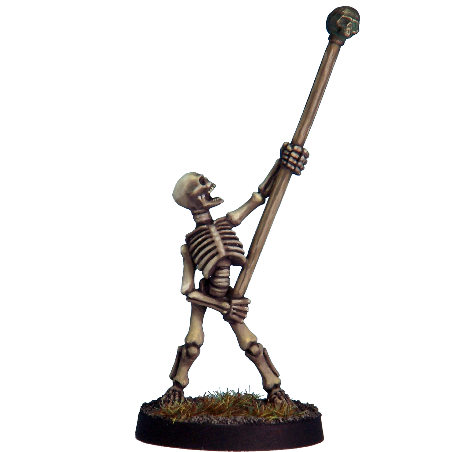 Skeleton Standard Bearer