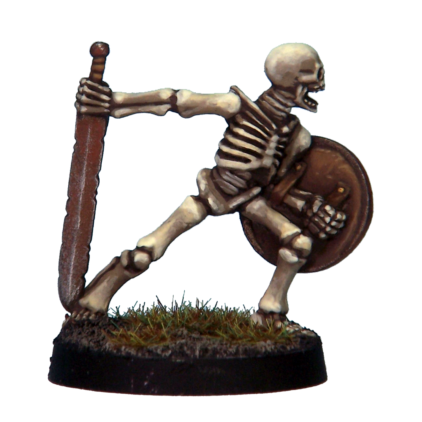 Skeleton Warrior 1C