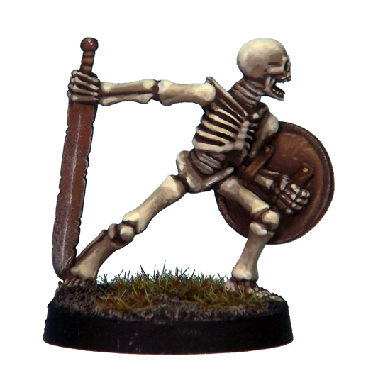 Skeleton Warrior 1C