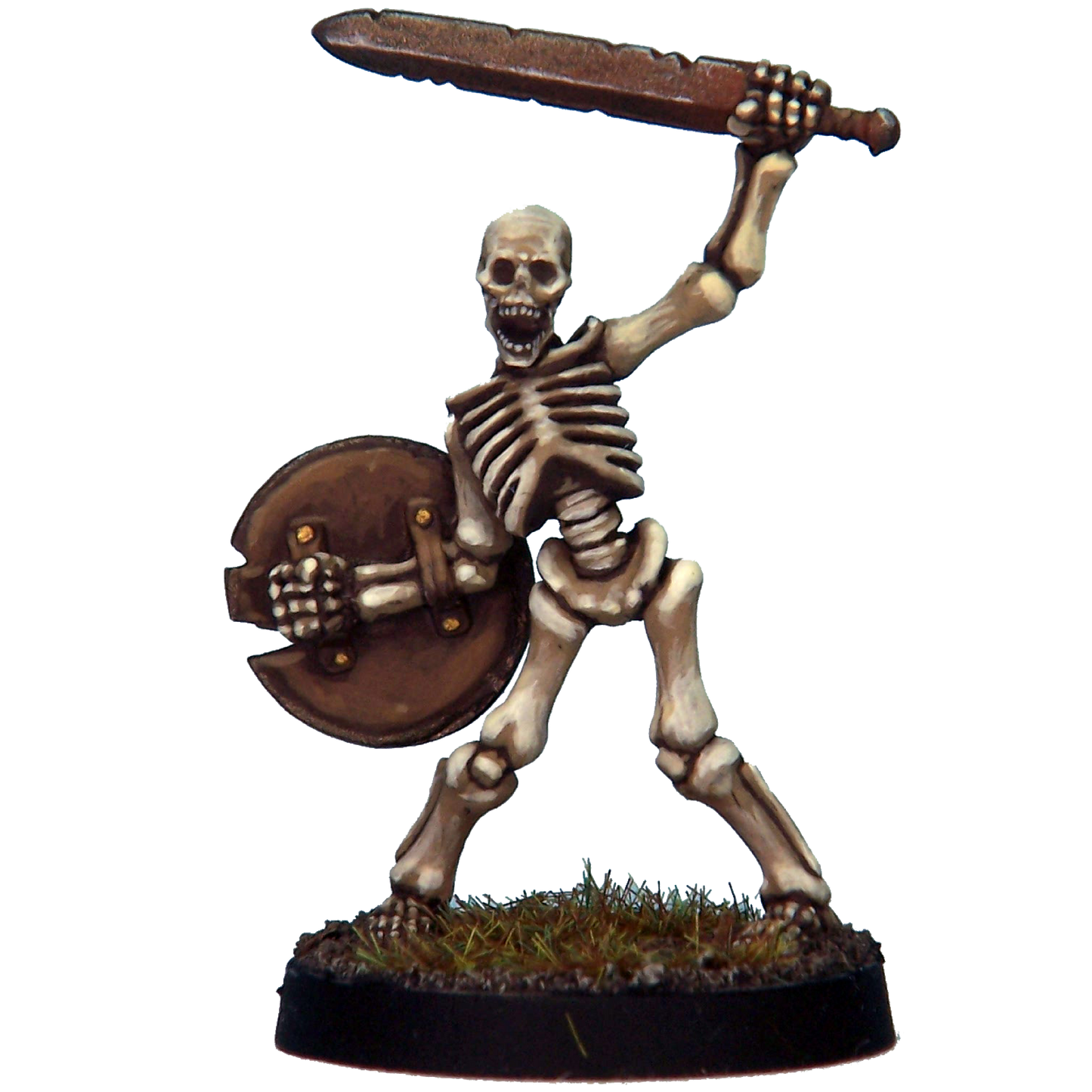 Skeleton Warrior 1D