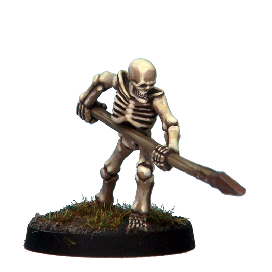 Skeleton Warrior 5A