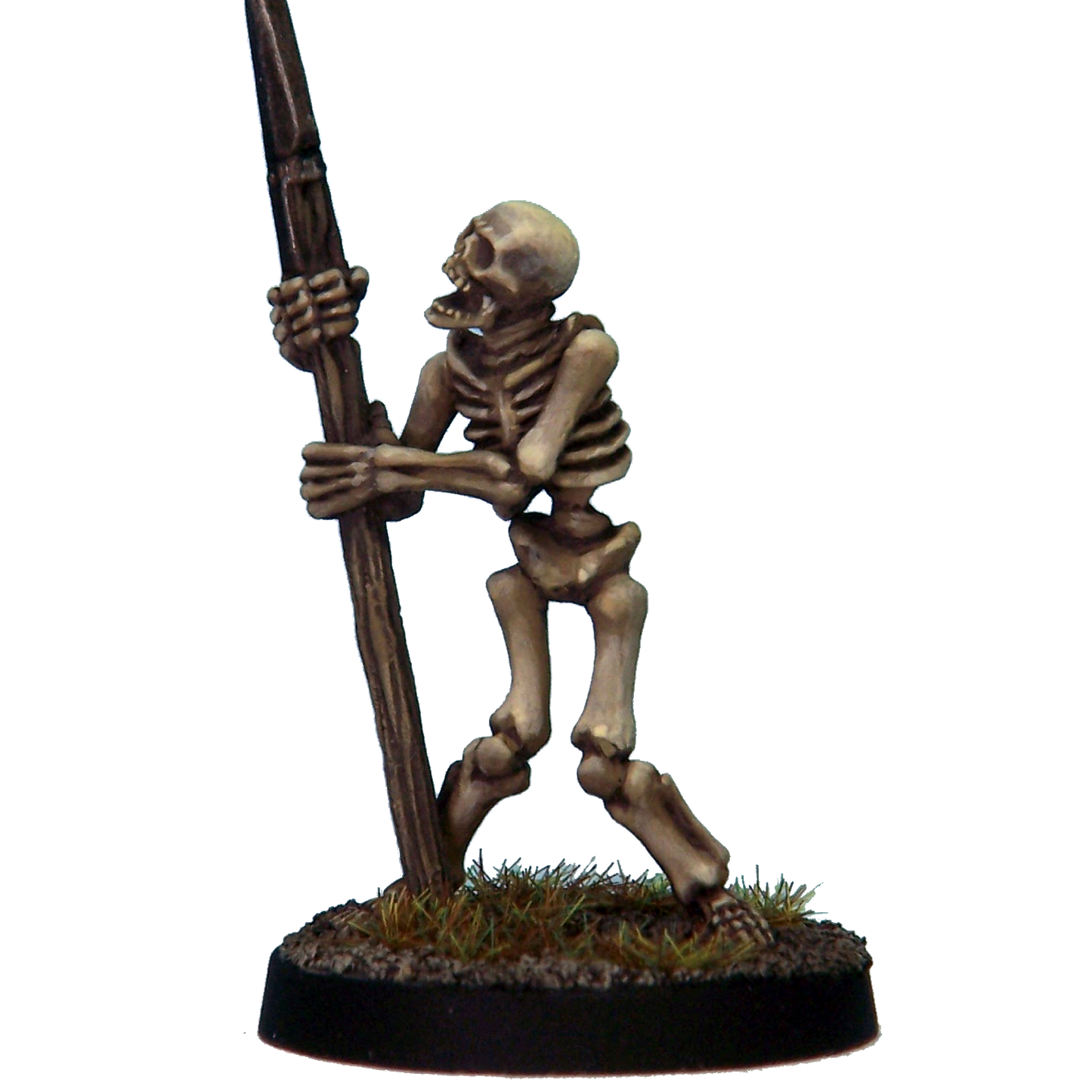 Skeleton Warriors 5