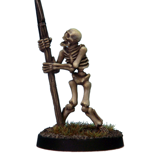 Skeleton Warrior 5B