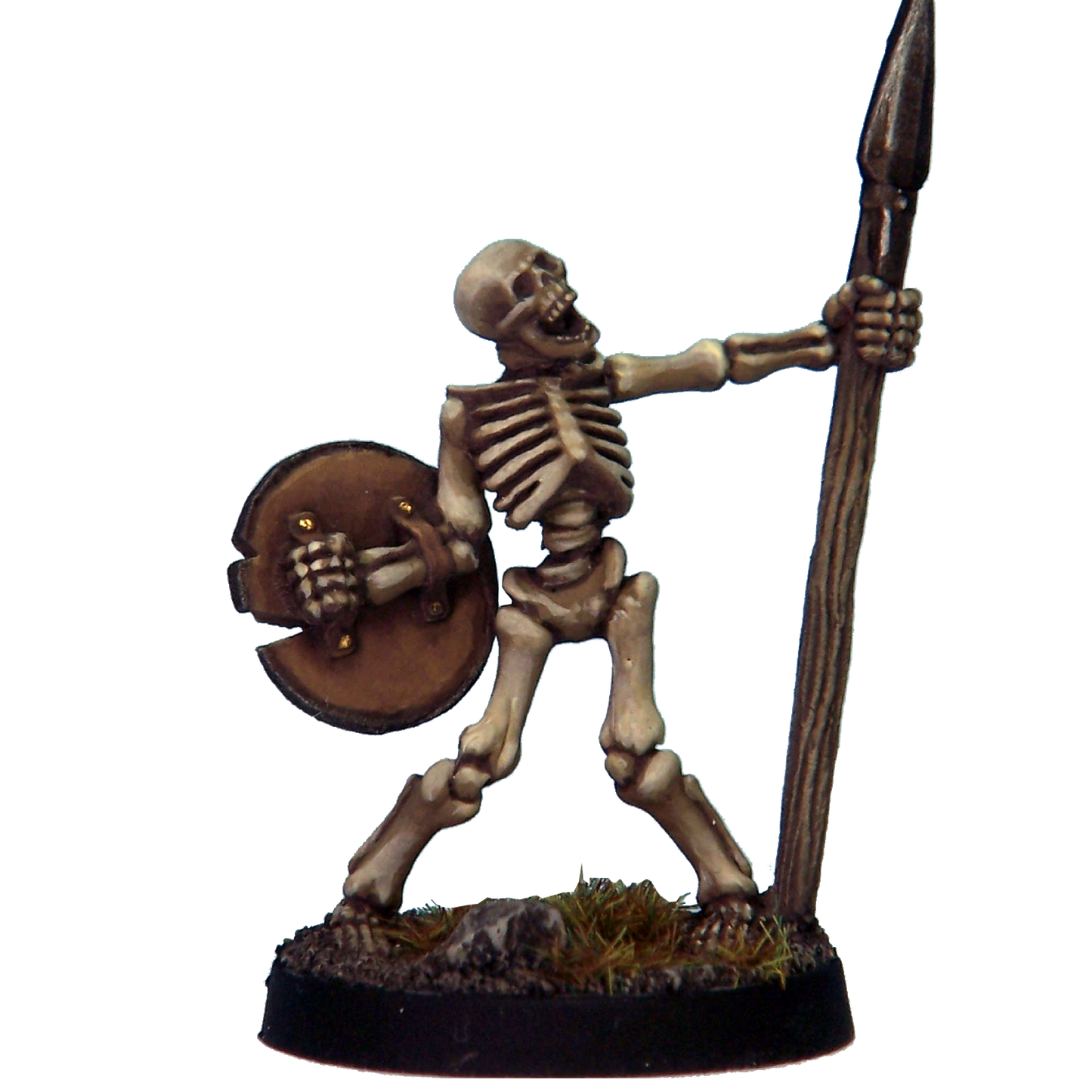 Skeleton Warriors 5