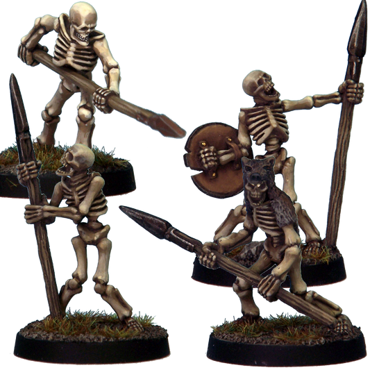 Skeleton Warriors 5