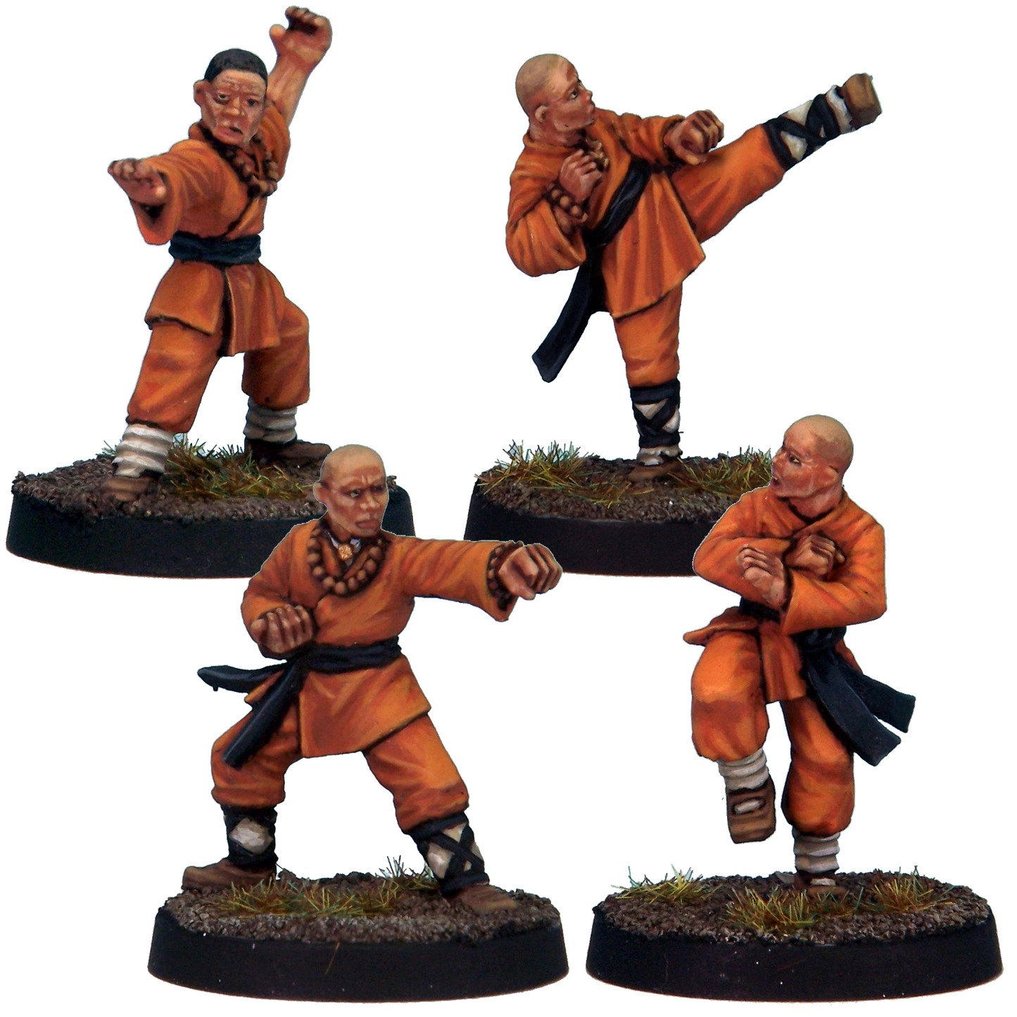 Warrior Monks